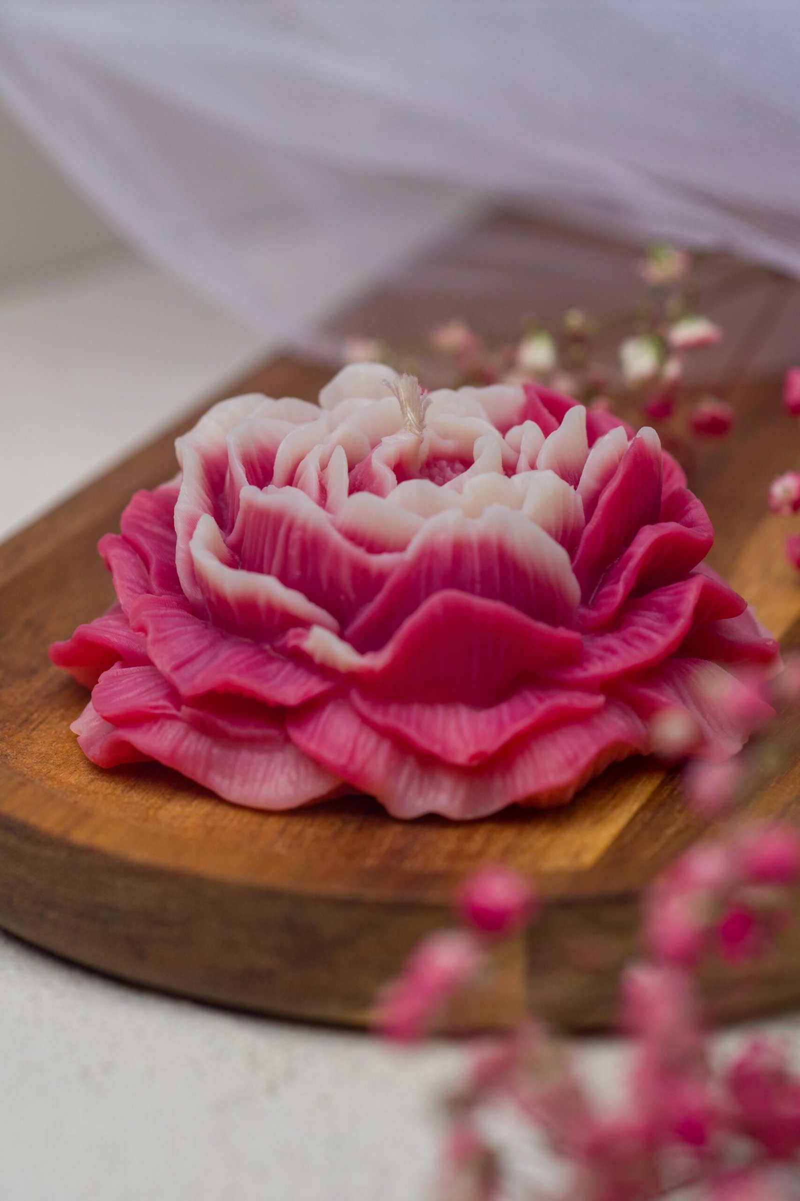 _1072737 Божур - Image 1